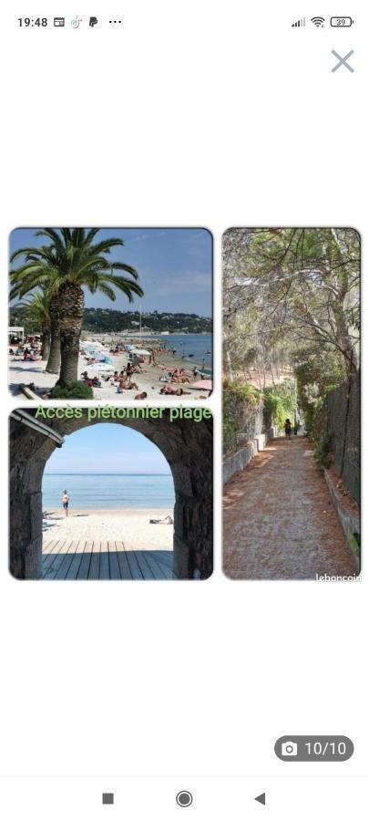 Studio Rdj Terrasse Piscine Sanary Sur Mer Exterior foto